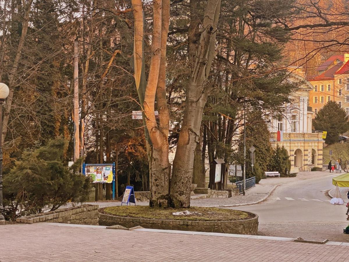 Apartament Zdroj Ladek Экстерьер фото